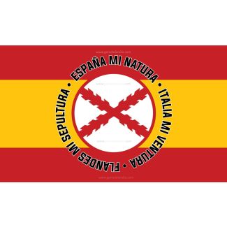 Bandera Sagrado Corazón de Jesus España 150x90cm - Gemelolandia