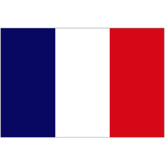 Bandera Francia 90x150cm - Gemelolandia