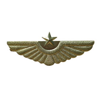 Insignia Militar Piloto URSS 65mm
