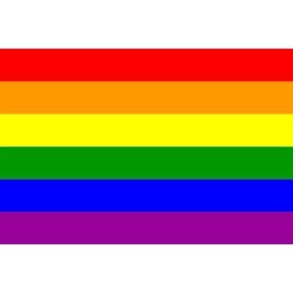 Bandera LGTBI Modelo 2 90x150cm - Gemelolandia
