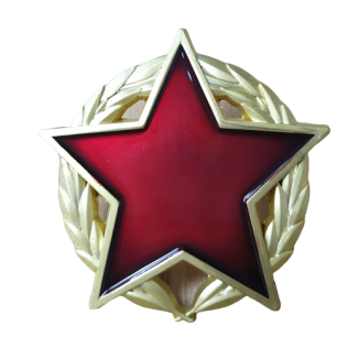 Medalla Orden de la Estrella Partisana Yugoslavia 40mm - Gemelolandia