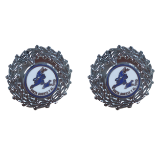 Pack 2 Pins de Solapa Escuadrilla Azul Laureada 21mm - Gemelolandia