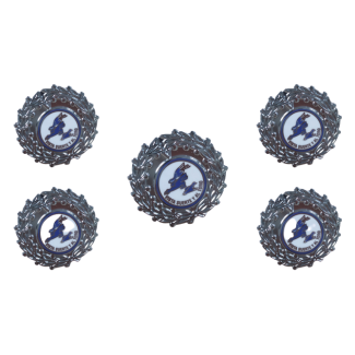 Pack 5 Pins de Solapa Escuadrilla Azul Laureada 21mm - Gemelolandia