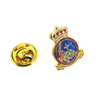 Eagle Patrol Lapel Pin