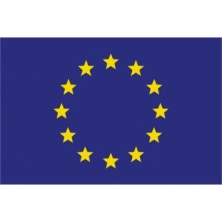 Bandera de la Unión Europea 90x150cm - Gemelolandia