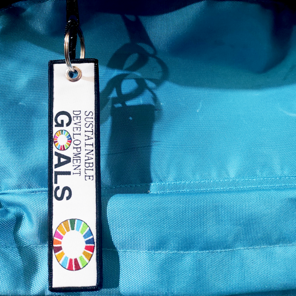 Llavero Agenda 2030 Sustainable Development Goals - Gemelolandia
