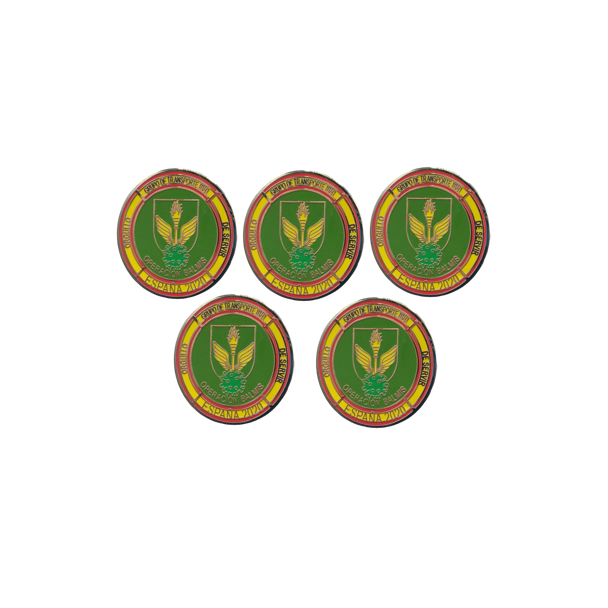 Pack 5 Pins de Solapa Operación Balmis 2020 Grupo de Transporte III - 41 - Gemelolandia
