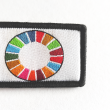 Llavero Agenda 2030 Sustainable Development Goals - Gemelolandia
